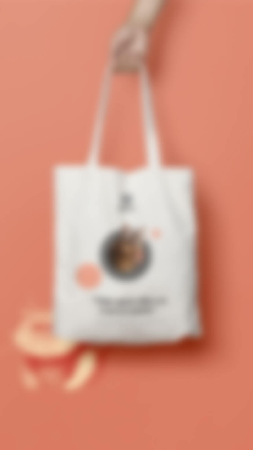 peach cat bag