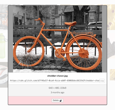 The details pop-up (including URL) for an image in the assets collection